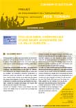 Téléchargement de notre cahier d'acteur sur CAP TONKIN au format PDF